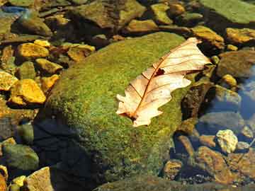 王中王100期期準(zhǔn)澳彩錢多多,媒體：馬斯克鬧白宮 AI開始政變現(xiàn)狀分析說明_領(lǐng)航款11.68.16