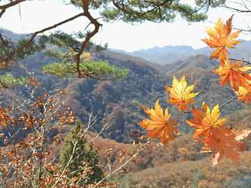 王中王100期期準澳彩錢多多,媒體：馬斯克鬧白宮 AI開始政變現(xiàn)狀分析說明_領(lǐng)航款11.68.16