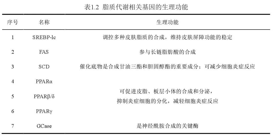 新奧特,新奧特，理論分析解析說明與復(fù)古款的獨特魅力,定性說明解析_經(jīng)典款18.16.24