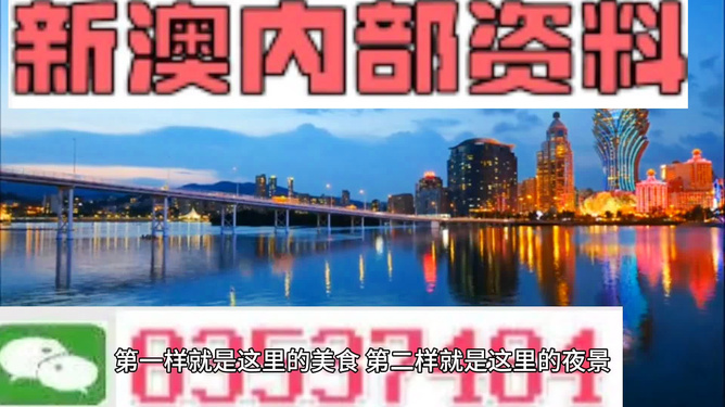 澳門最精準(zhǔn)免費(fèi)資料大全旅游團(tuán),澳門最精準(zhǔn)旅游團(tuán)精英版，探索澳門之旅的全方位指南,專家說(shuō)明解析_履版33.90.16