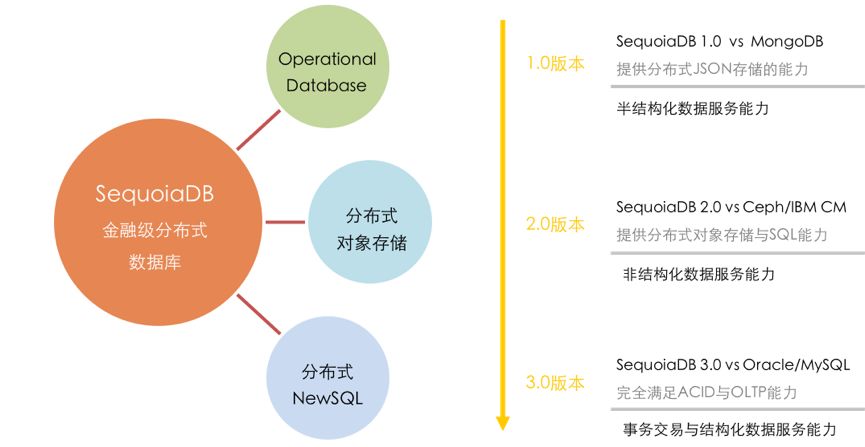 新澳彩資料大全正版資料查詢,數(shù)據(jù)解析導向設(shè)計_Executive53.86.55