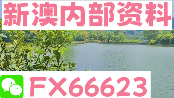 新澳精準(zhǔn)資料免費提供網(wǎng)站,實地應(yīng)用驗證數(shù)據(jù)_挑戰(zhàn)版46.50.78