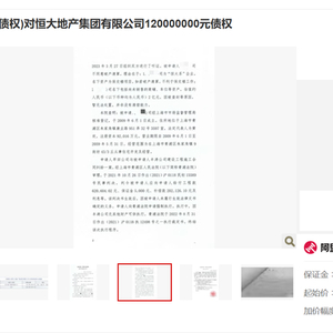 恒大地產(chǎn)1.2億元債權(quán)拍賣起拍價(jià)低至一元