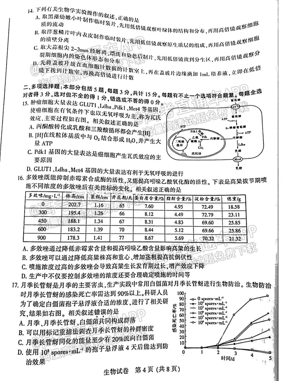 三肖必中三期必出資料,實地研究解釋定義_豪華版60.50.73