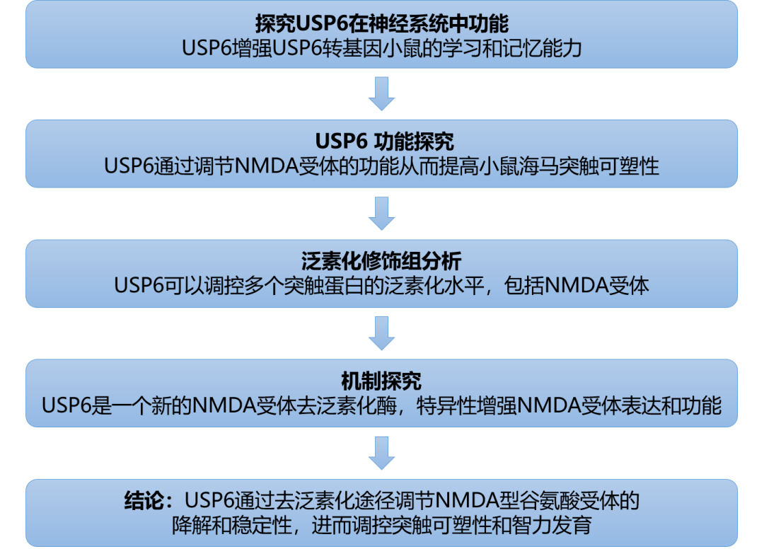 新澳彩2025最新資料,全局性策略實施協(xié)調(diào)_投資版14.19.61