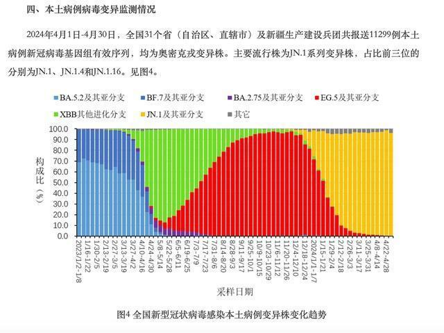 彩天下,迅速執(zhí)行設(shè)計(jì)計(jì)劃_KP62.41.11