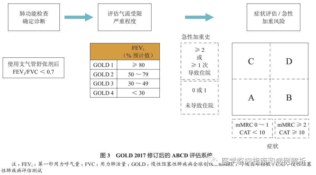 2025年香港資料,詳細(xì)解答解釋定義_膠版78.41.24