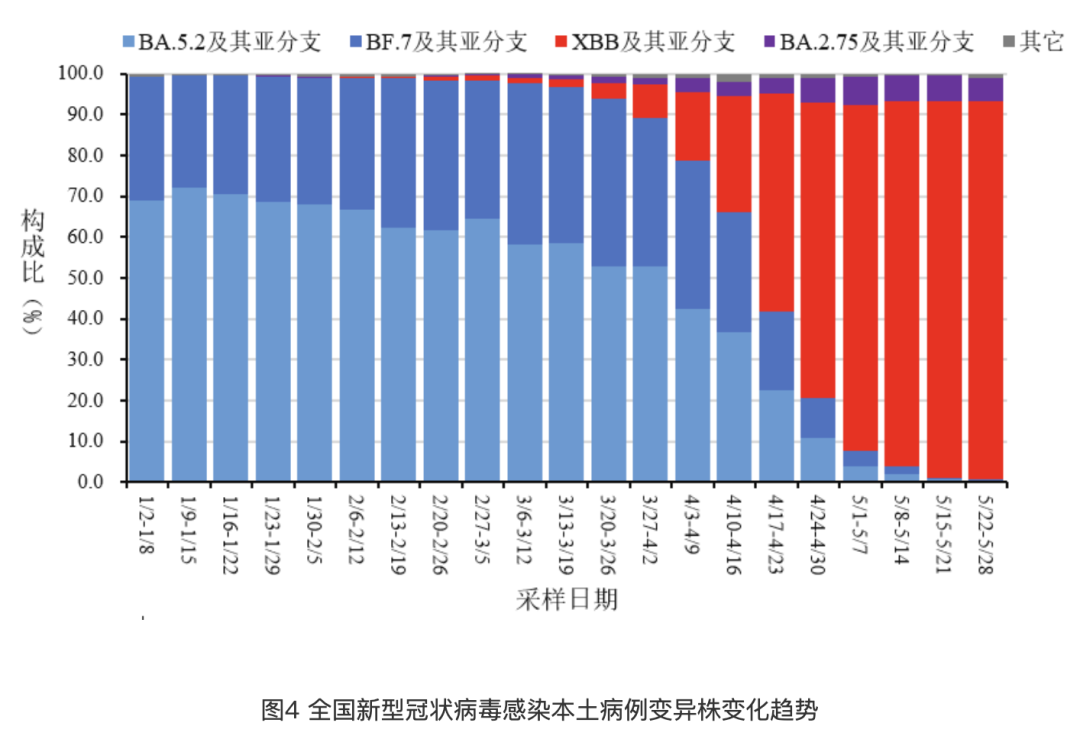 新澳門彩波色開獎走勢圖,數(shù)據(jù)解析支持方案_YE版65.52.28