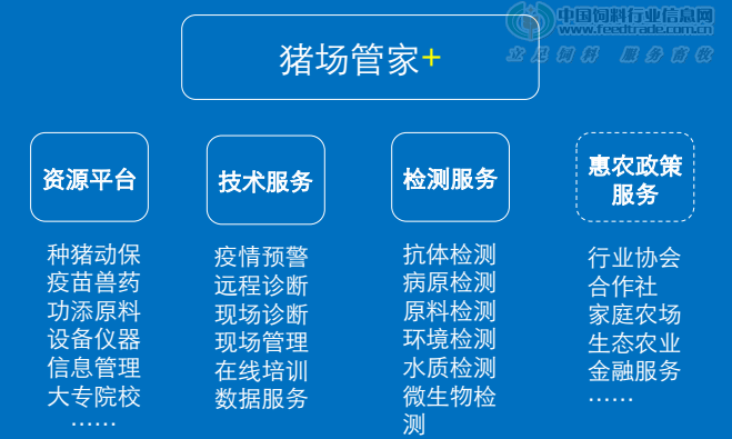 2025澳門(mén)全年資料,高效實(shí)施設(shè)計(jì)策略_望版79.47.91