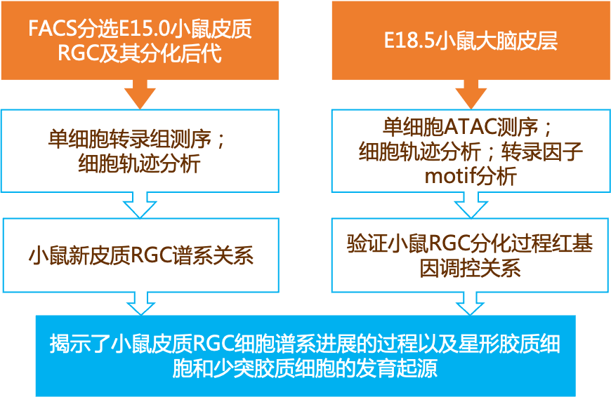 2025年新奧門(mén)資料,實(shí)地解讀說(shuō)明_版筑21.24.32