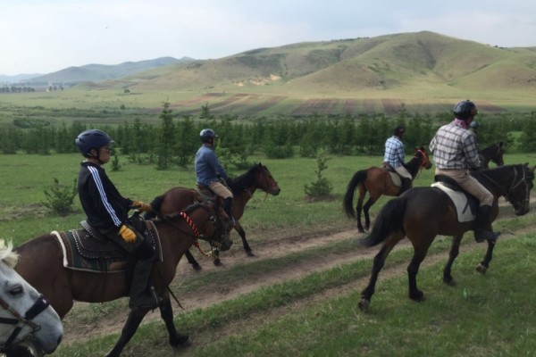 澳門今晚開特馬四不象,讀研成為年輕人的緩沖期