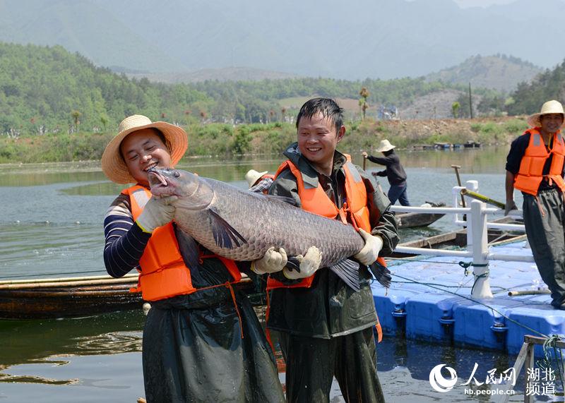 奧 英文名,漁民捕獲大青魚王笑開花