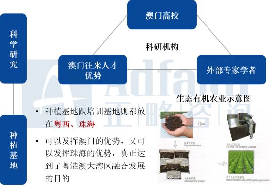 探索未來的澳門，全局性策略實施協(xié)調(diào)與資料圖庫的發(fā)展藍圖（Deluxe 29.96.27），平衡實施策略_戶版85.43.60