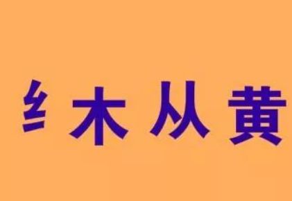 2025新澳門碼圖,多地節(jié)儉辦春節(jié) 燈籠不再滿樹掛快捷解決方案問題_Premium54.87.45