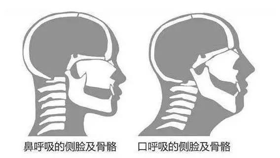 新澳門2025開獎(jiǎng)今晚結(jié)果,女子沒感冒一直流鼻涕竟是腦脊液適用設(shè)計(jì)解析_工具版75.70.64