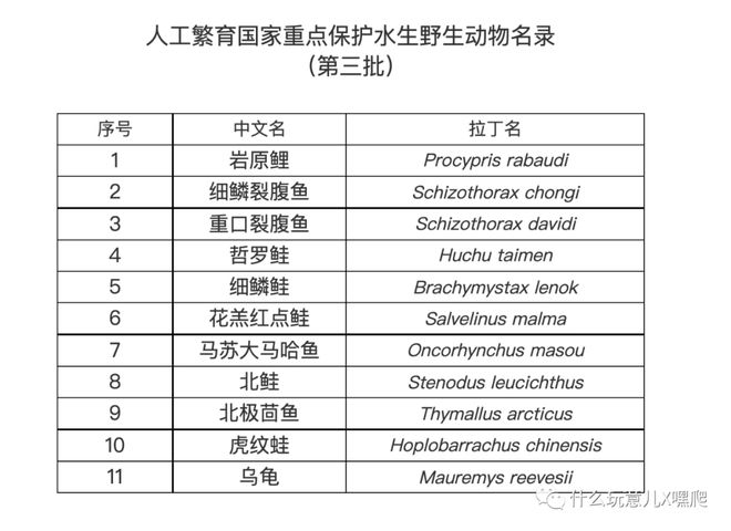 彩庫寶典1.50版本,浙江咖啡店老板為西湖醋魚正名詮釋分析定義_免費(fèi)版22.35.78